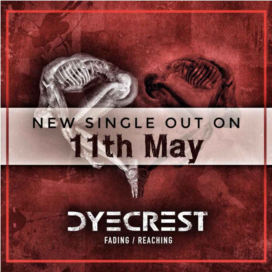 Dyecrest about to release new single "Fading/Reaching"