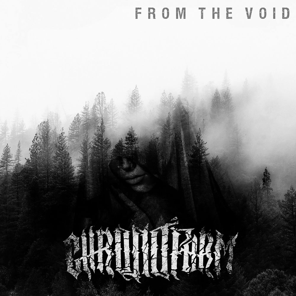 REVIEW: Chronoform – From The Void