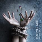 REVIEW: Forever Still – Tied Down (Musicalypse Archive)