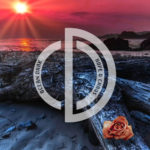 REVIEW: Ocean Dark – Hope & Chaos