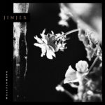 REVIEW: Jinjer – Wallflowers