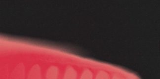 REVIEW: Bloc Party – Alpha Games