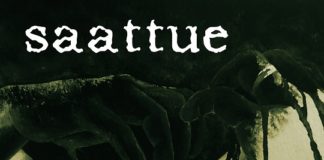 REVIEW: Saattue – Vain Toinen Heistä