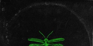 REVIEW: R3VO – EP: Fireflies