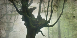 WARMEN – sign with Reaper Entertainment