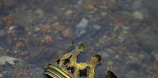 Finnish KAKSONEN release new music after 10 year hiatus