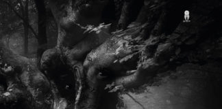 REVIEW: Drott – Troll