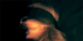 REVIEW: Smackbound – Hostage