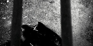 SONG OF THE DAY: Rivers of Nihil – Hellbirds