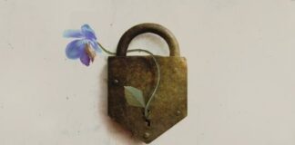 REVIEW: DGM – Life