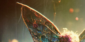 REVIEW: Dopedrone – The Young and the Dead