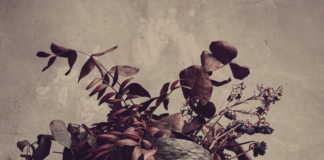 REVIEW: Gardenhead – Gardenhead