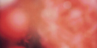 REVIEW: shedfromthebody – Amare