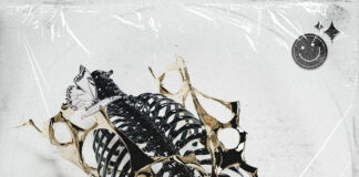 FEATURED SINGLE: Luna Kills – we were born to die ft. RANKKA