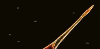 REVIEW: Leprous – Melodies of Atonement