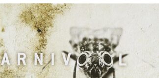 (2005) Karnivool – Themata: Anniversary special