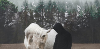 REVIEW: Sara – Hallava