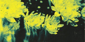 REVIEW: Balance Breach – Save Our Souls