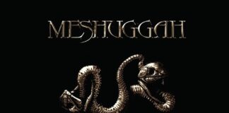 (2005) Meshuggah – Catch Thirtythree: Anniversary Special