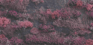 REVIEW: Sleep Token – Even in Arcadia