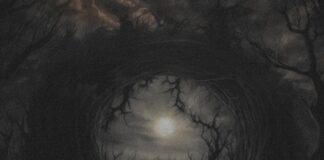 REVIEW: Dawn of Solace – Affliction Vortex