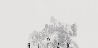 REVIEW: The Bleak Picture – Shades of Life