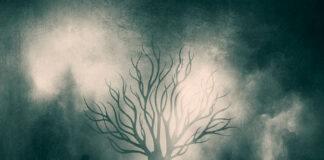 REVIEW: The Man-Eating Tree – Night Verses