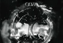 REVIEW: GOZD – Trees Are Silent