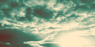 REVIEW: Fort – A Token of Our Depreciation