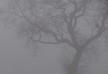 (2006) Jesu – Silver EP: Anniversary special