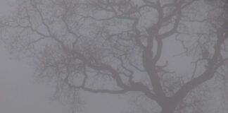 (2006) Jesu – Silver EP: Anniversary special