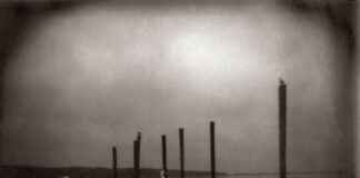 (2006) Om – Conference of the Birds: Anniversary special