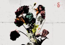 REVIEW: Shinedown – EI8HT