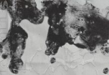 FEATURED SINGLE: LUNA KILLS – LOWER