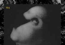REVIEW: Viscera/// – 4. Assets for Psychedelic Warfare